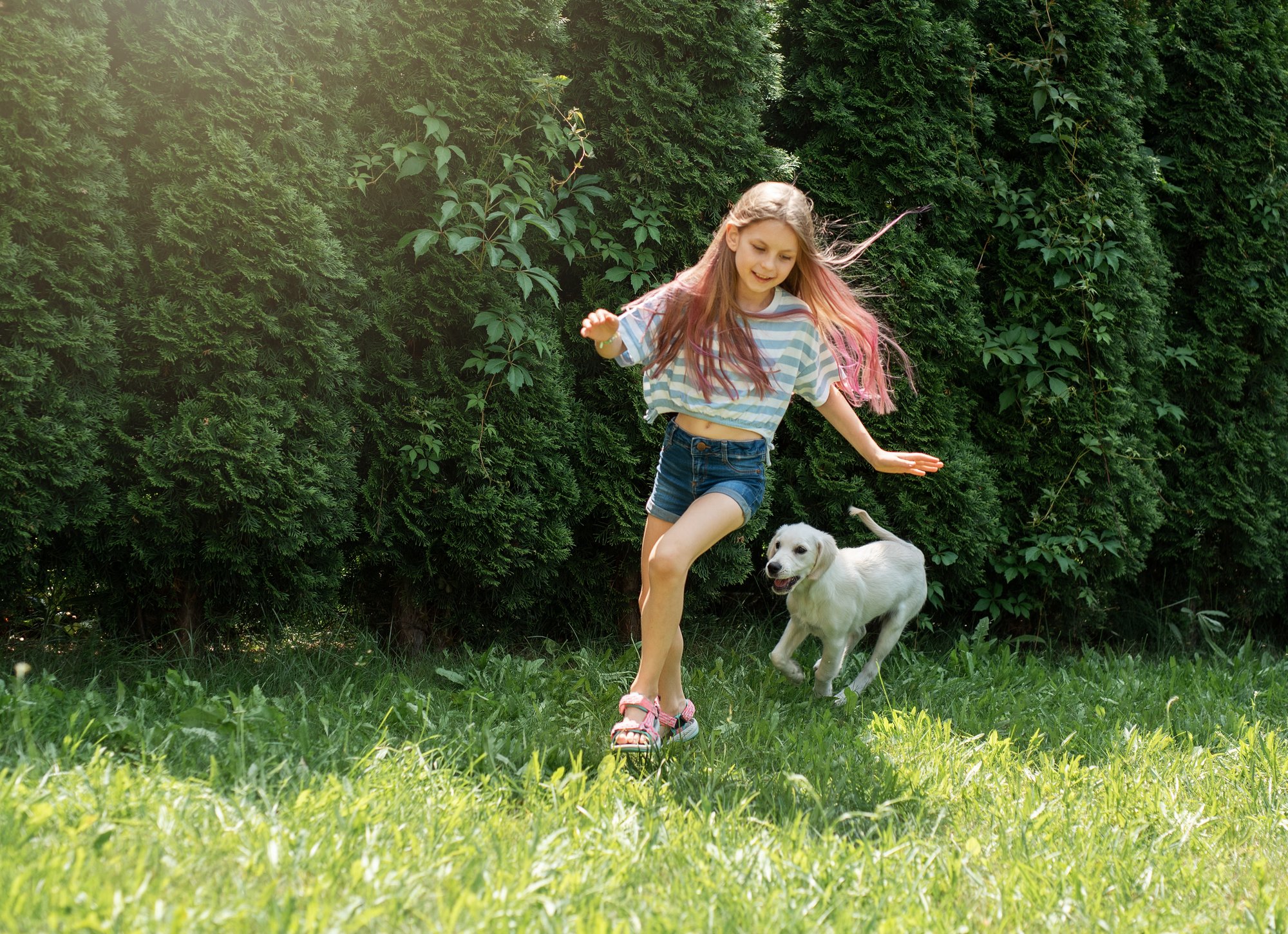 vecteezy_little-girl-playing-with-a-golden-retriever-puppy-in-the-garden_32000331